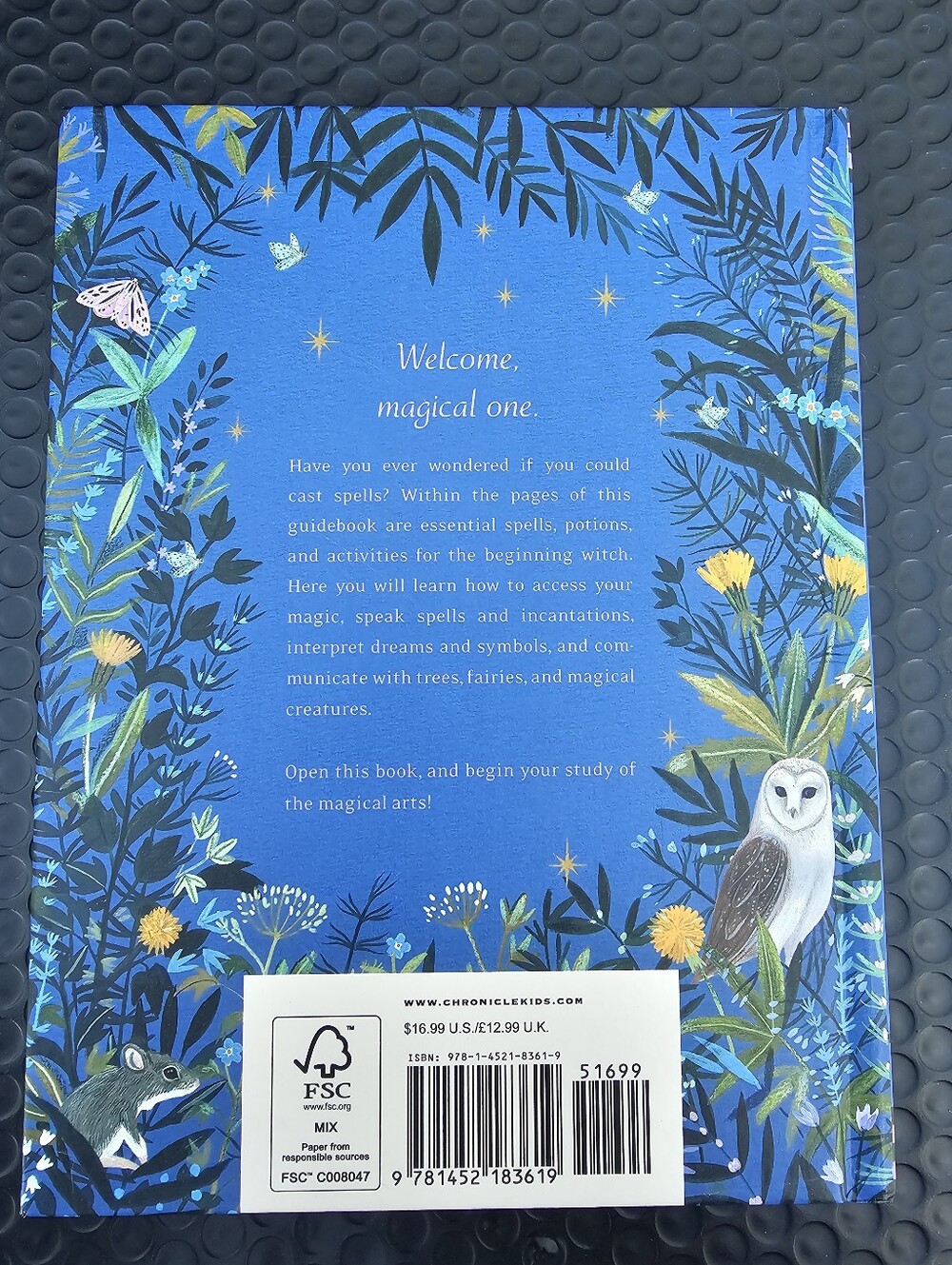 The Little Witch's Book Of Spells - Picture 2 of 4